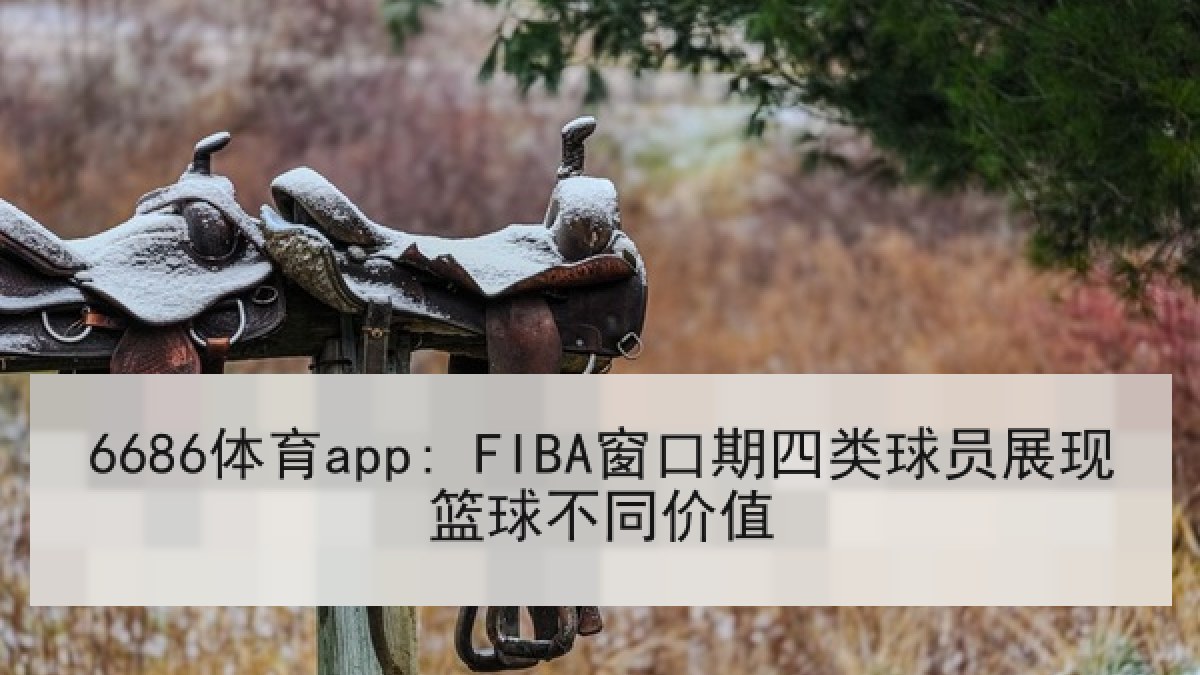 6686体育app: FIBA窗口期四类球员展现篮球不同价值
