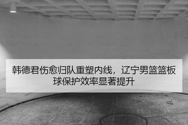 韩德君伤愈归队重塑内线，辽宁男篮篮板球保护效率显著提升