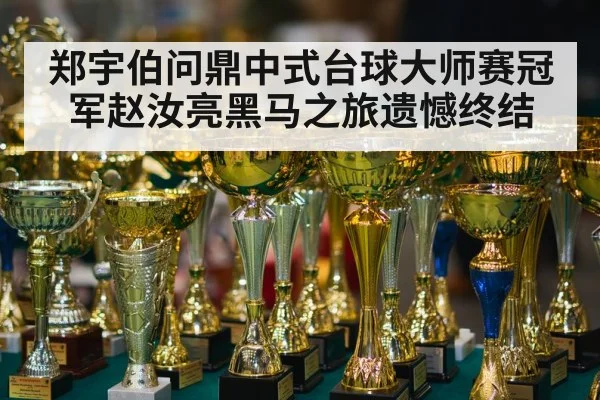 郑宇伯问鼎中式台球大师赛冠军赵汝亮黑马之旅遗憾终结