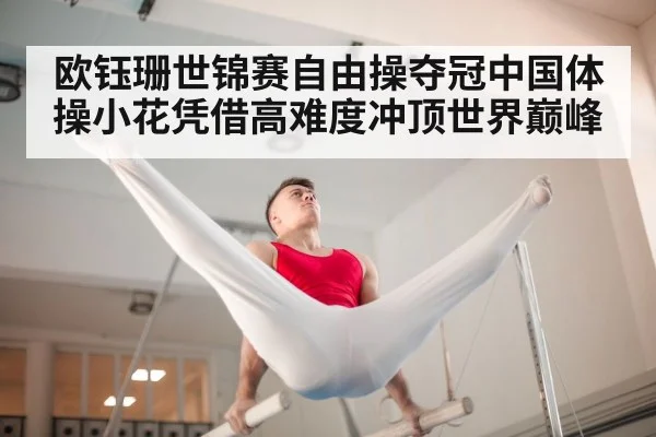 Chinese gymnast competition