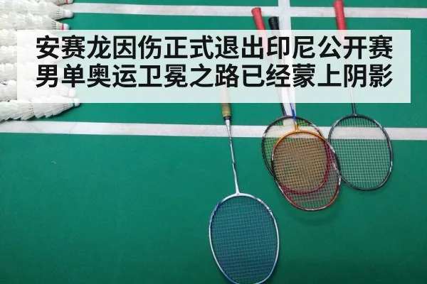 安赛龙因伤正式退出印尼公开赛 男单奥运卫冕之路已经蒙上阴影